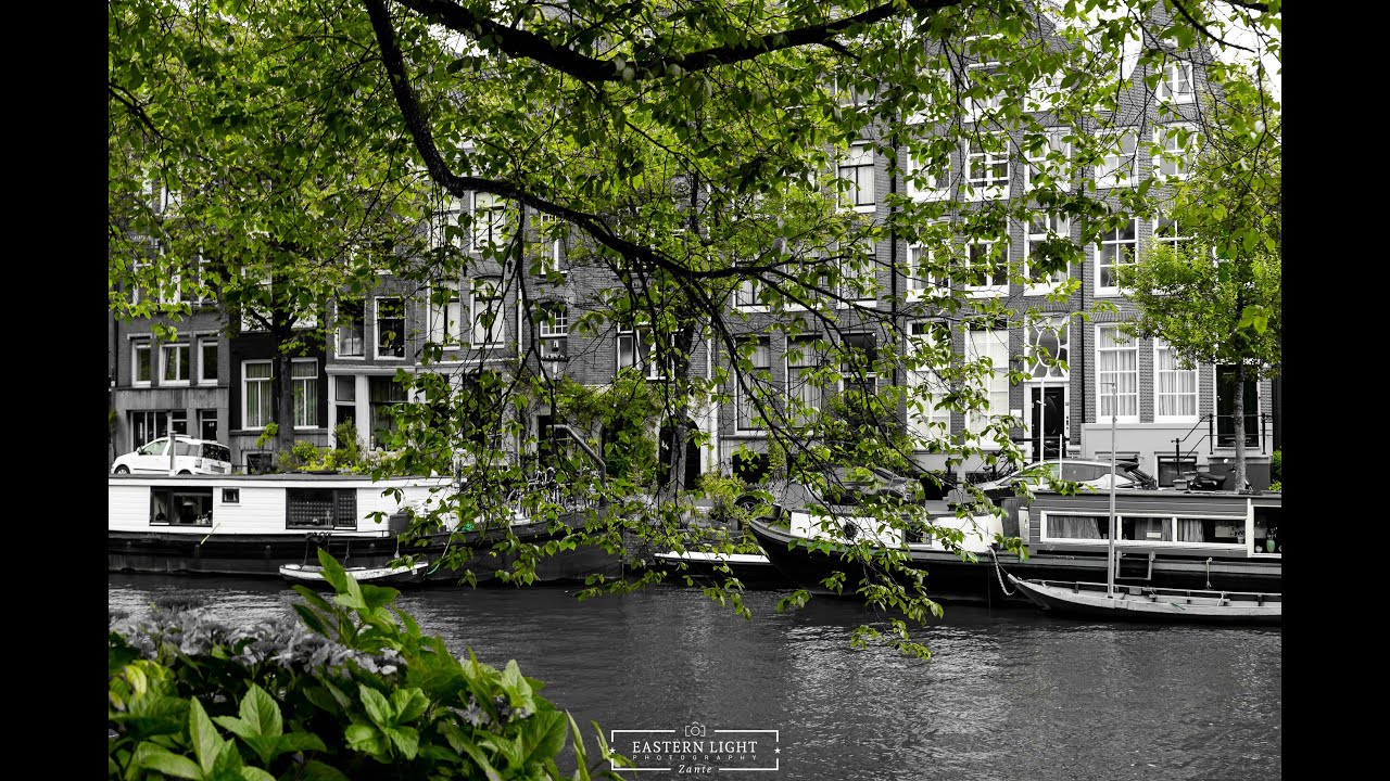 David Bowie Port Of Amsterdam ( AMSTERDAM 8/2021) YouTube