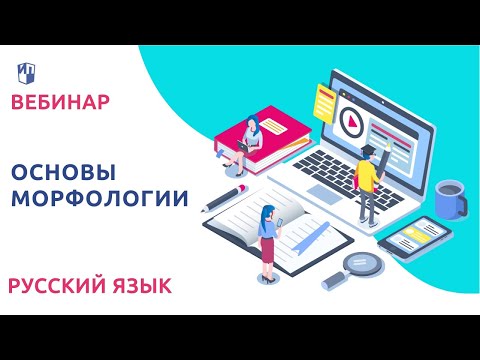 Основы морфологии