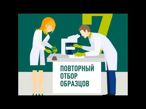 Российское производство семян