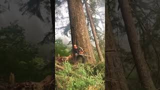 Lumberjack Fails That Will Shock You 🌲😱 | Satisfying Tree Cutting Moments #shorts