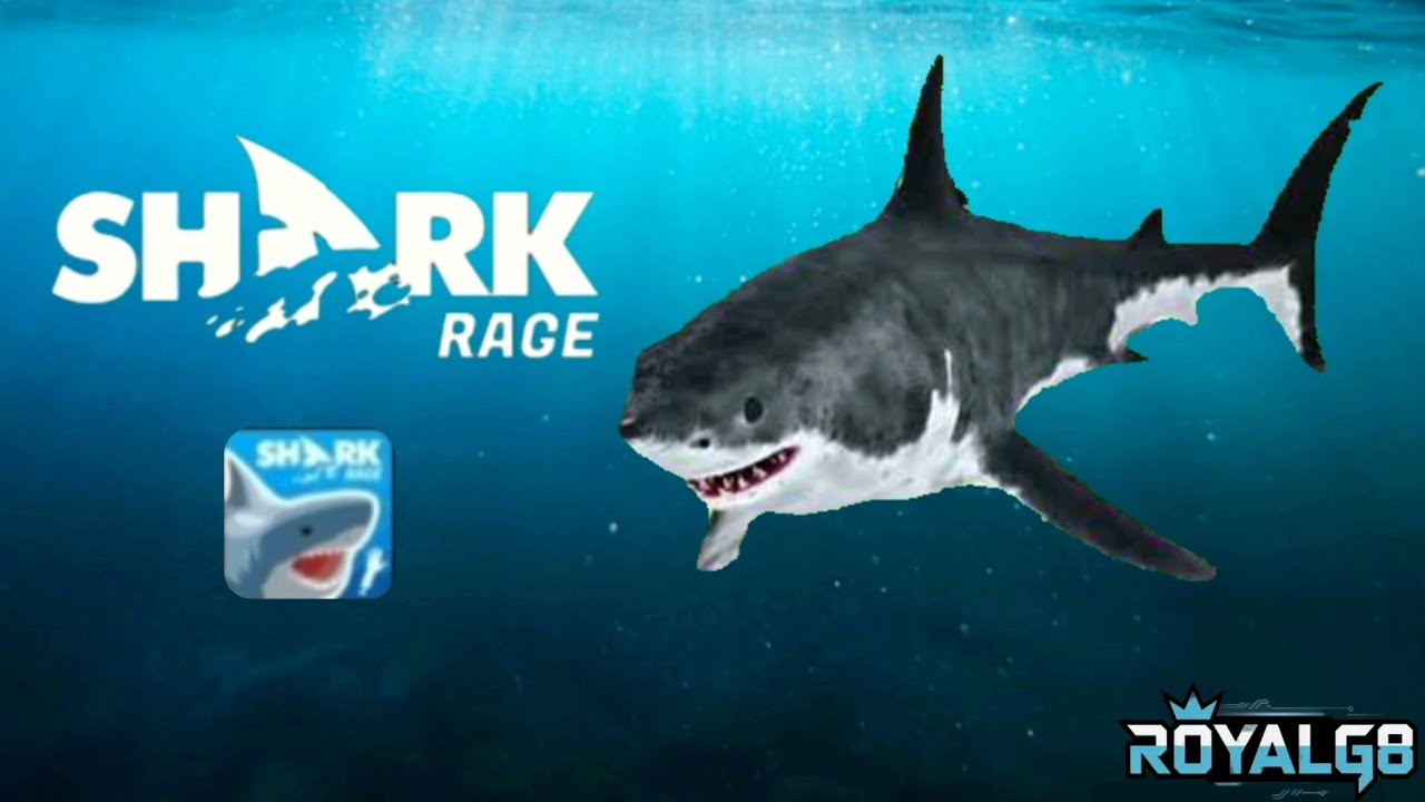 I'm first time play shark rage | shark rage gameplay | ROYALg8. - YouTube