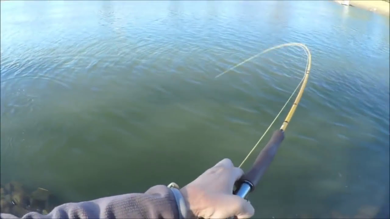 フライでスモールマウスバス釣り 17 11 3 Youtube