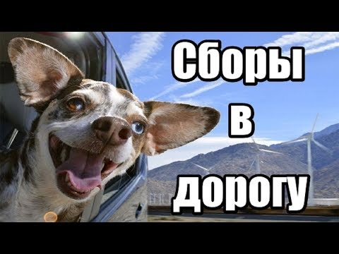 Видео: Лучшая мебельная ткань для владельцев домашних животных