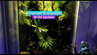 Vivarium Ecosystem Build update!  Bioactive Dart frog Terrarium