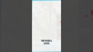 Market Update Stocks Plunge As Silver Prices Dive