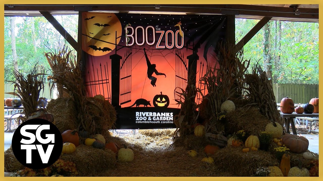 Annual Boo at the Zoo Event Returns to Riverbanks Zoo - YouTube