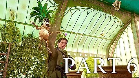 HOGWARTS LEGACY PS5 Walkthrough Gameplay Part 6 - HERBS AND POTIONS CLASS (FULL GAME)