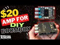 This $20 Amp Surprised Me - ZK-1002t Bluetooth Amp TPA3116