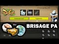 LA RUNE QUI PEUT TOUT CHANGER - FORGEMAGIE : CAPE DE L’ŒIL ATTENTIF EXO % RES DI - Gryfox [DOFUS]