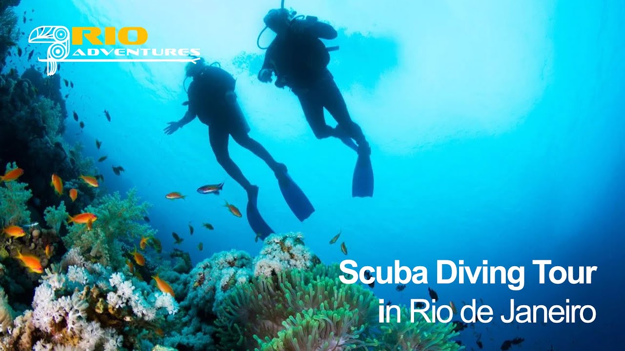 Scuba Diving Tour in Rio de Janeiro