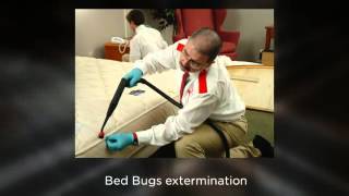 Pest Control in Pretoria - Company Video
