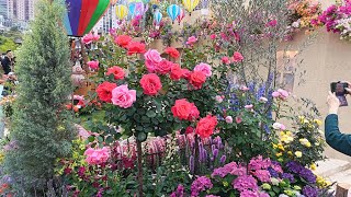 AKALA KOY LANGIT - DILAW (Original composition by:DJ Vincent) #flowers #touristattraction