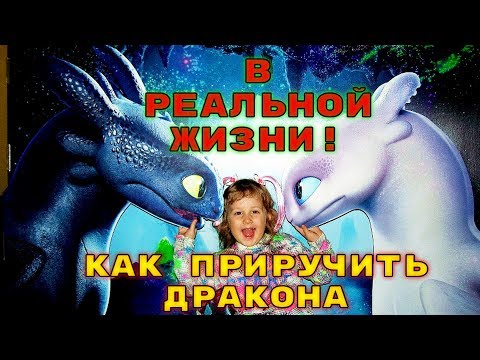 Приручи Всех Драконов / Беззубик и Дневная Фурия в Реальной Жизни / Как ПРИРУЧИТЬ ДРАКОНА 3