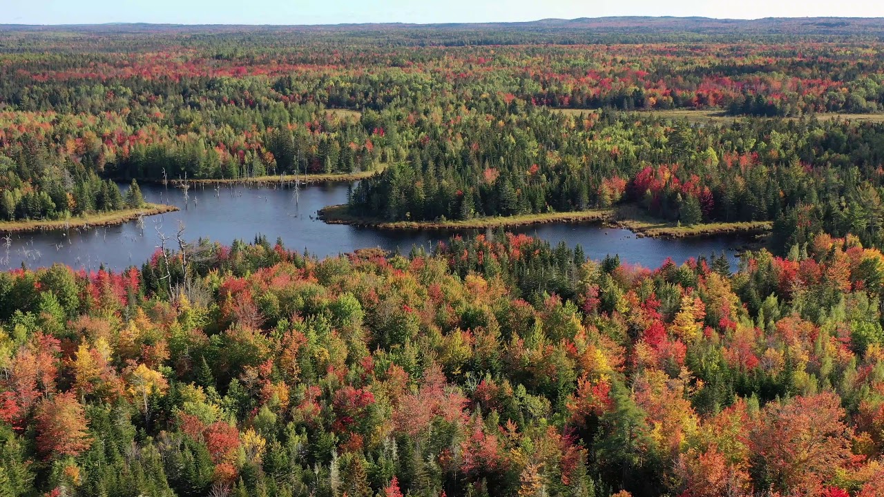 Lake Cathance YouTube