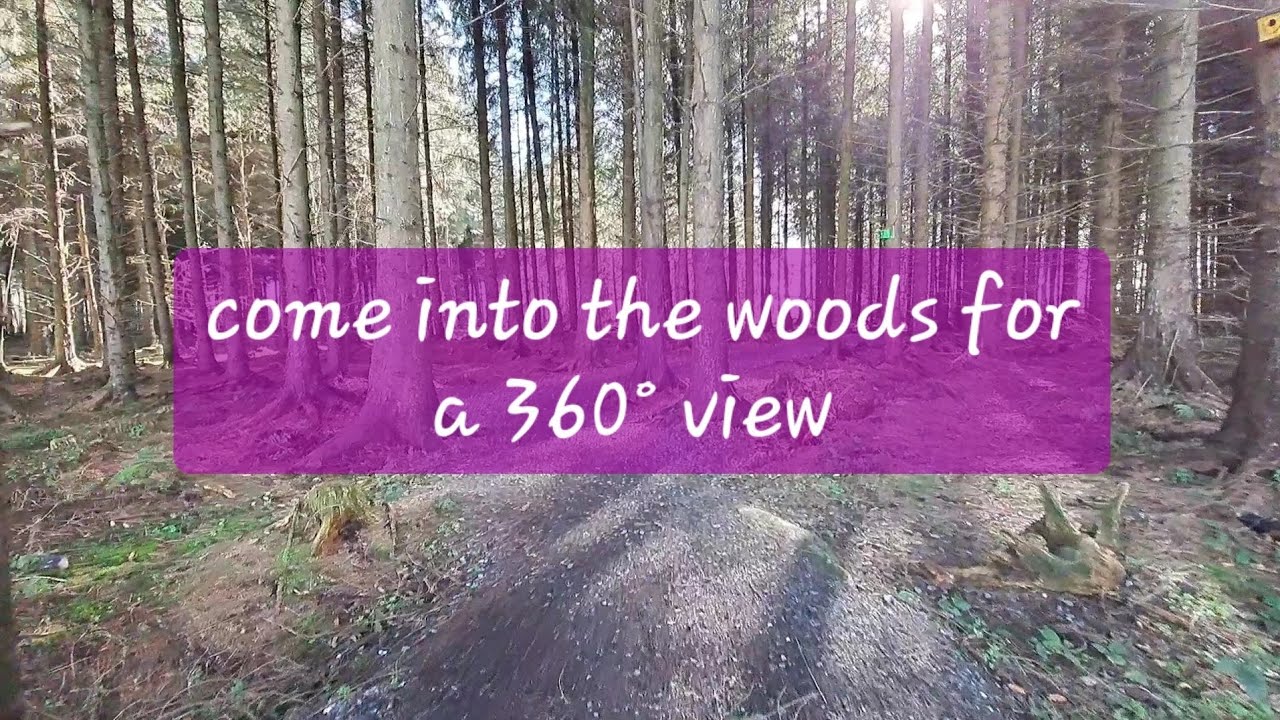 Walking through a section of the woods with awesome 360°
