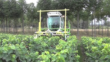 Gearmore Collard Vineyard Equipment- Leaf Remover-Trimmer-Preprunner