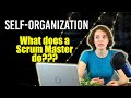 Self Organization and the role of a Scrum Master
