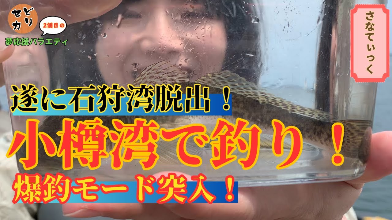 【北海道】【釣り】石狩湾を出て、今度は小樽湾へ！スペシャルゲストもいるよ♪①【セカンドどりーむ さなてぃっく編 シーズン1】#21
