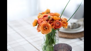 Меню семейного ужина и вкусные рецепты! Меню семейного ужина и вкусные рецепты!