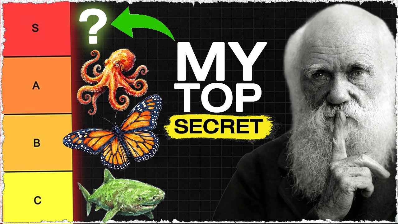 Scientist Ranks Craziest Biological Adaptations! Tier List