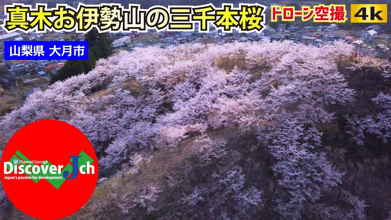 Saru Bridge Otsuki Destimap Destinations On Map Saru Bridge Otsuki Destimap Destinations On Map