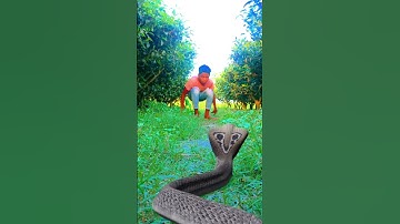 Viral video nagin snake 🐍 vfx video Kinemaster Editing Nurul #shorts #youtubeshorts #shortsfeed