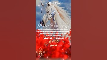 تلاوة خاشعة عطرة مباركة جميلة عذبة للشيخ ماهر المعيقلي ماتيسر من سورة الرحمن