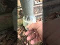 Would You Be Good With This Repair 