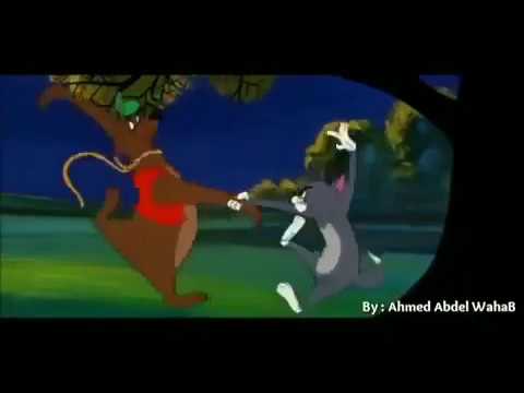 مولد السرينة على طريقة توم وجيري القط والفار