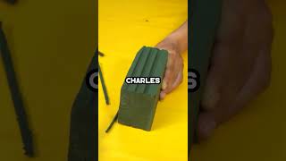 Why Do Humans Blush? The Weirdest Evolution Mystery! ❤️‍🔥