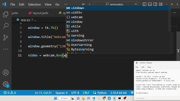 Python 3 Tkinter Script to Display Webcam Video Using tkinter-webcam Library GUI Desktop App