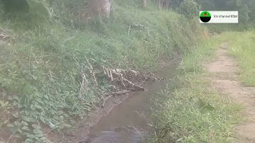 RELAKSASI SULING SUNDA PALING MERDU & SUARA AIR MENGALIR || SUASANA DI PEDESAAN KAMPUNG LEUWIRANJI