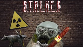 картинка: Stalker - Тень Чернобля (# 2)