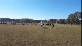 Great Handler Movement by Carolina Friends