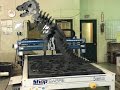 ShopSabre SideKick Cutting a T-Rex Dinosaur