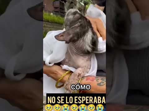 Muy triste tener