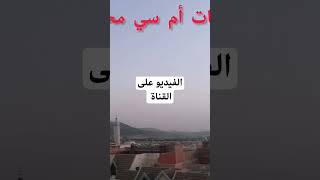 صبنت الزرابي