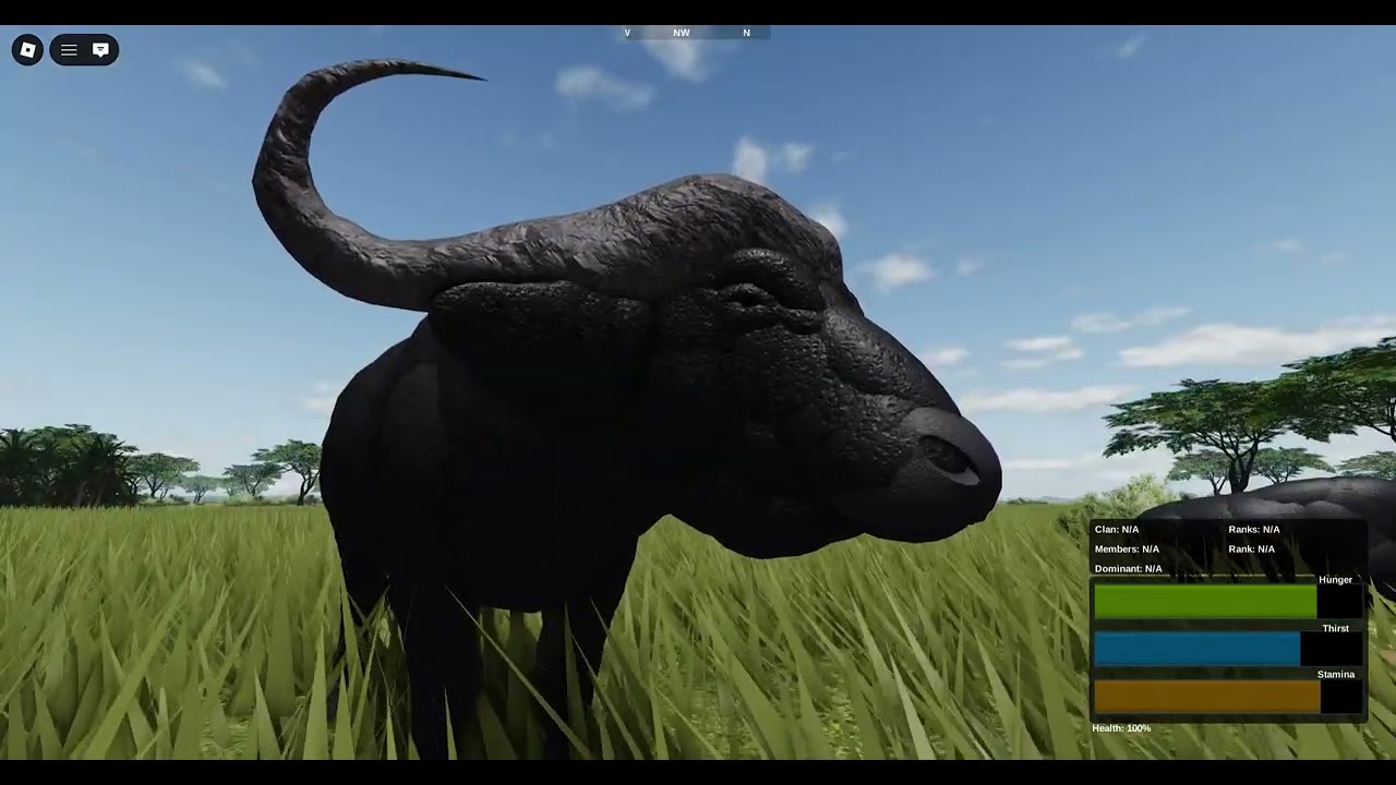 Buffalo herd ( Wild Savanna )