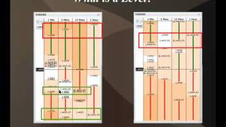 Intro to Fibonacci Grid Trading Software: What is a Level - Forex Trading Training Video