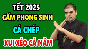 Tuyệt Đối CẤM PHÓNG SINH CÁ CHÉP Khi Cúng ÔNG TÁO 2025 Nếu Chưa Biết Điều Này, Kẻo Gặp Đại Họa
