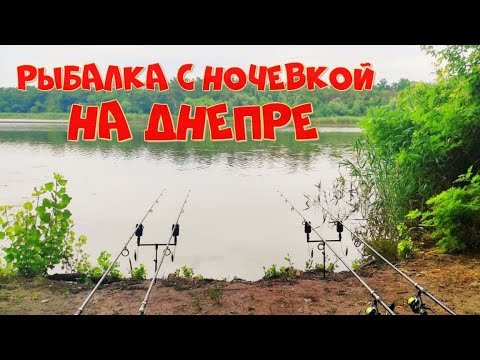 РЫБАЛКА С НОЧЕВКОЙ НА ДНЕПРЕ. ГДЕ ВСЯ РЫБА?