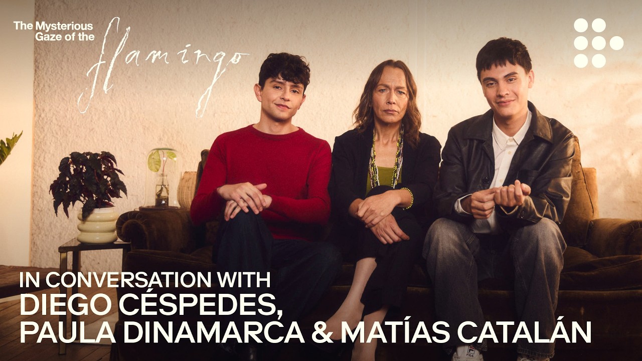THE MYSTERIOUS GAZE OF THE FLAMINGO | In Conversation with the director & cast | MUBI