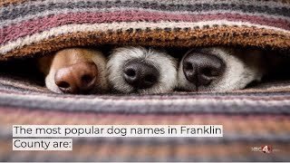 Most common dog names in Franklin County