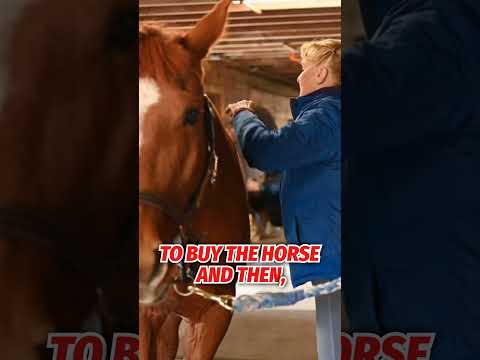 What's the Difference Between the Stock Market and a Horse Race?