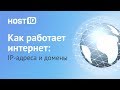 Что такое домен и IP адрес сайта