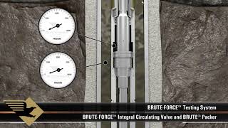 BRUTE FORCE™ Integral Circulating Valve