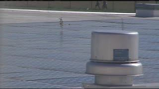 What impact does solar power have on WMass schools