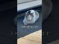 私の猫達を救い守る活動は、まだまだ勉強不足、経験不足の発展途上段階です。色々な現場で、沢山の猫達の気持ちを感じながら、猫達と同じ目線に立ち、日々後悔や反省も全部力にして、これからもがんばります🫡