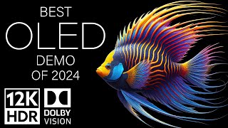 BEST OLED DEMO OF 2024  DOLBY VISION 12K HDR 120fps