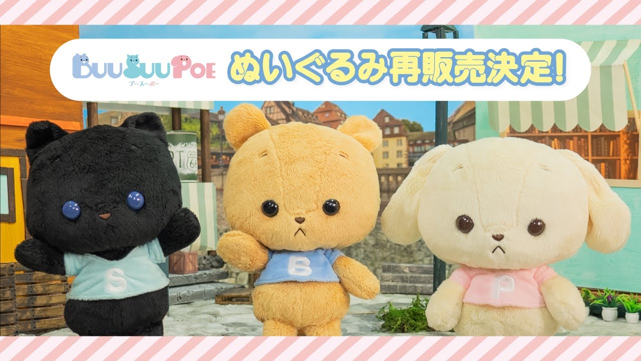 BUU SUU POE ぬいぐるめいとからはじめましてのご挨拶から BUU SUU POE